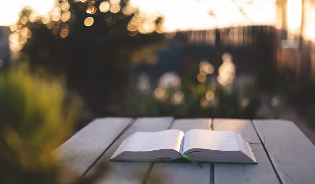 5 libros con traductores como protagonistas para este verano